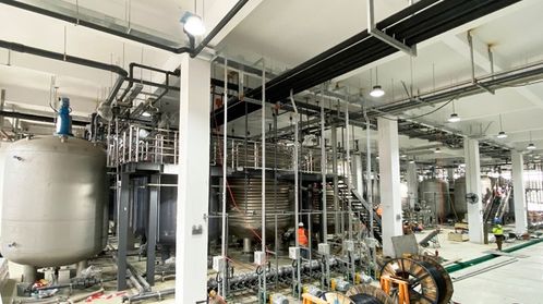 耗資20億的哈佛“長生不老藥”NMN工廠落戶寧波余姚，是科學突破還是網絡工程？