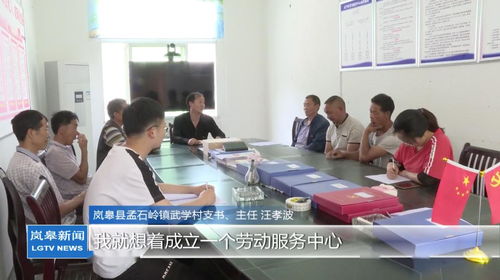 支部統(tǒng)籌勞務(wù)用工，村民家門口就業(yè)增收——孟石嶺鎮(zhèn)武學(xué)村的振興新實(shí)踐